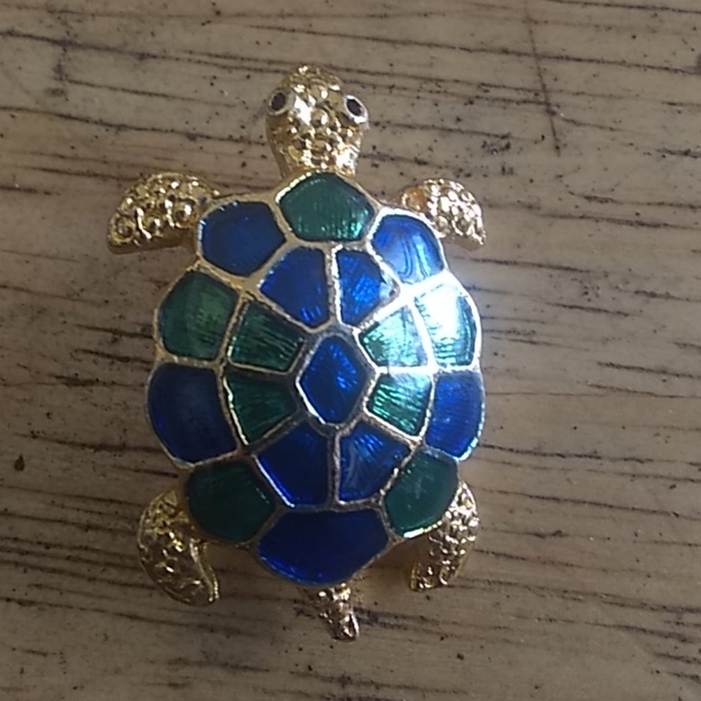 Cute turtle pin